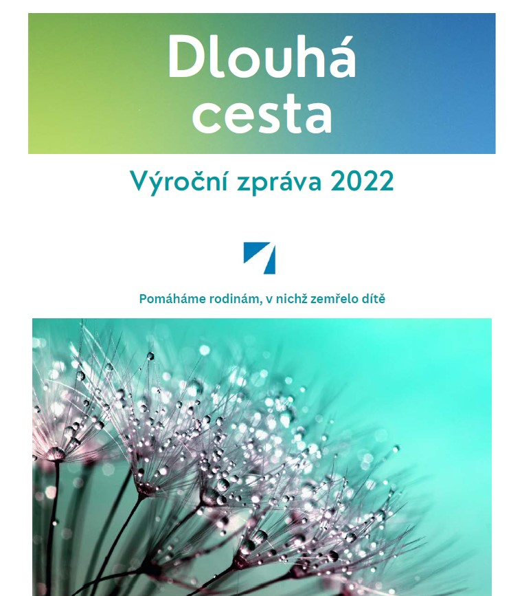 výroční zpráva za rok 2022