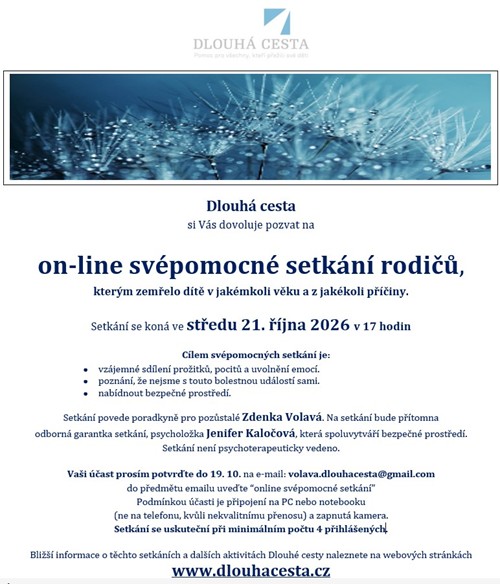 Svépomocné setkání on-line
