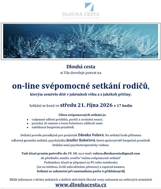 Svépomocné setkání on-line